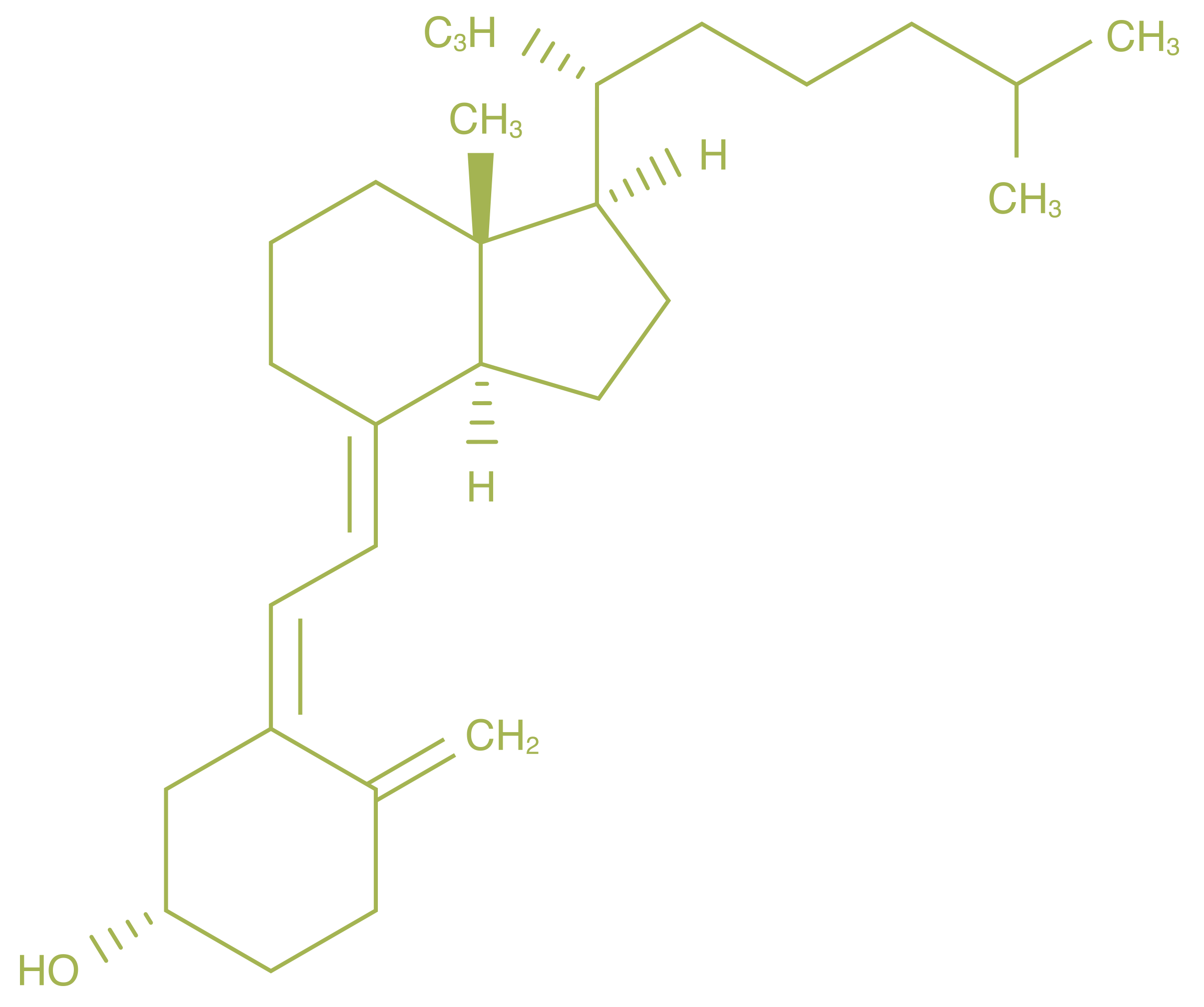 vitamin d3 structure